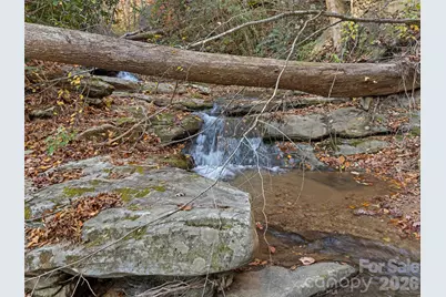 65 Charleston Harbor Drive, Saluda, NC 28773 - Photo 37