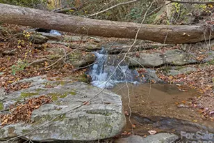 65 Charleston Harbor Dr, Saluda, NC 28773 - Photo 37