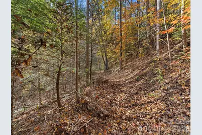 65 Charleston Harbor Drive, Saluda, NC 28773 - Photo 35