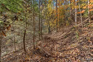 65 Charleston Harbor Dr, Saluda, NC 28773 - Photo 35