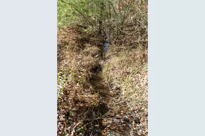 2049 Brookside Camp Road, Hendersonville, NC 28792 - Photo 33