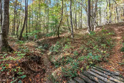 481 Eupeptic Springs Road, Olin, NC 28660 - Photo 41