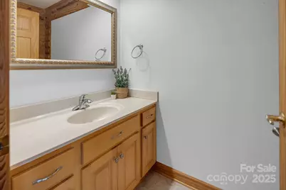 481 Eupeptic Springs Road, Olin, NC 28660 - Photo 23