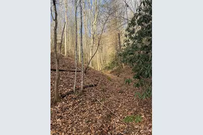 3066 Hartley Kincaid Place, Lenoir, NC 28645 - Photo 47