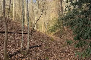 3066 Hartley Kincaid Pl, Lenoir, NC 28645 - Photo 47