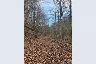 3066 Hartley Kincaid Place, Lenoir, NC 28645 - Photo 47