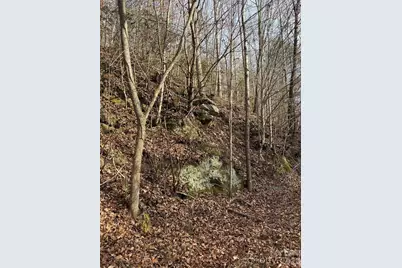 3066 Hartley Kincaid Place, Lenoir, NC 28645 - Photo 43