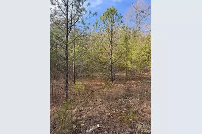 3066 Hartley Kincaid Place, Lenoir, NC 28645 - Photo 45