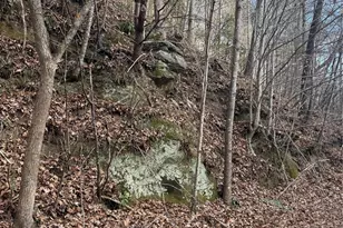 3066 Hartley Kincaid Pl, Lenoir, NC 28645 - Photo 45