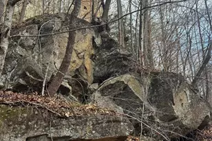 3066 Hartley Kincaid Pl, Lenoir, NC 28645 - Photo 43