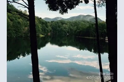 114 Birddog Boulevard, Lake Lure, NC 28746 - Photo 33