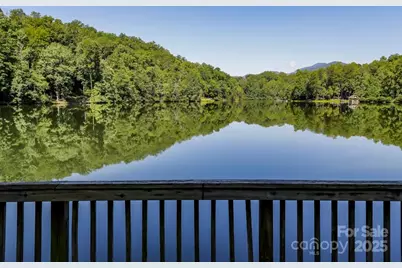 114 Birddog Boulevard, Lake Lure, NC 28746 - Photo 21