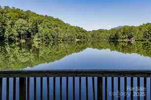 114 Birddog Blvd, Lake Lure, NC 28746 - Photo 21