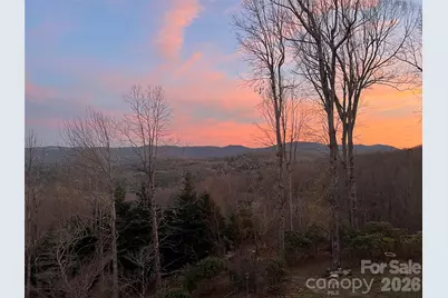 300 Roberts Drive, Hendersonville, NC 28739 - Photo 3