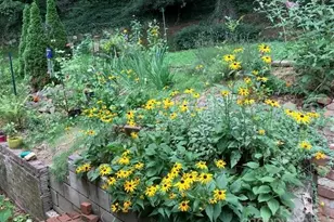 233 Rolling Dr, Waynesville, NC 28786 - Photo 37