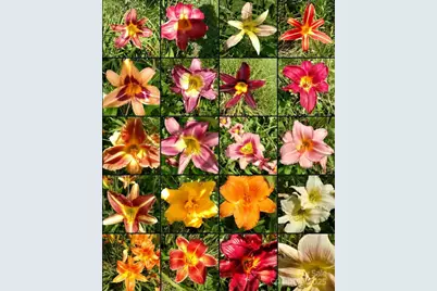 13 Holly Hill Farm Road, Mars Hill, NC 28754 - Photo 43