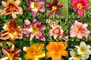 13 Holly Hill Farm Rd, Mars Hill, NC 28754 - Photo 43