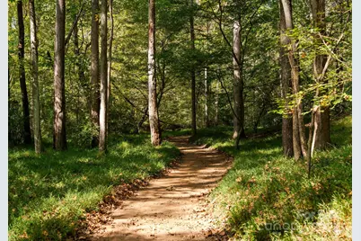 4829 Mt Olive Church Road, Charlotte, NC 28276 - Photo 7