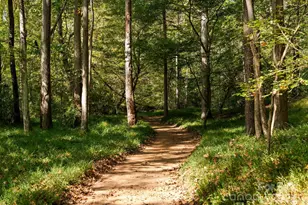 4829 Mt Olive Church Rd, Charlotte, NC 28276 - Photo 7