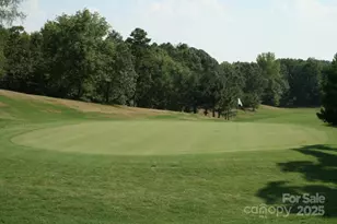 11055 Holiday Cove Dr, Tega Cay, SC 29708 - Photo 37