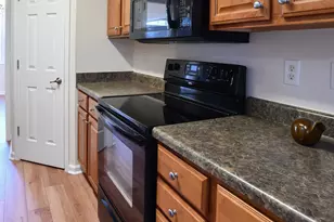 28 Stone River Dr, Asheville, NC 28804 - Photo 13