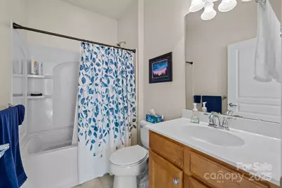 1043 Sweetleaf Drive, Indian Land, SC 29707 - Photo 11