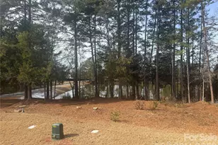 1043 Sweetleaf Dr, Indian Land, SC 29707 - Photo 35