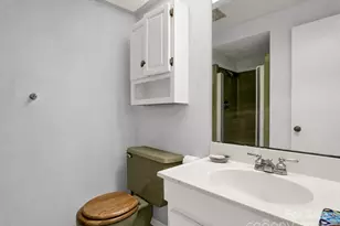 104 Little Falls Dr, Tryon, NC 28782 - Photo 25