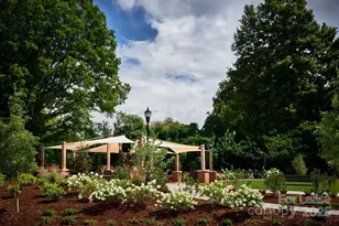 345 Sharon Township Ln, Charlotte, NC 28211 - Photo 13