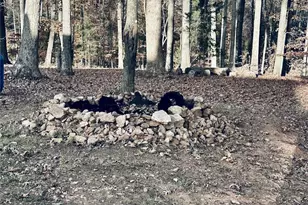 2944 Ranger Rd, Clover, SC 29710 - Photo 21