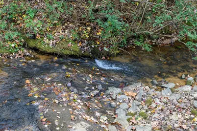 2830 Ellerwood Road, Hudson, NC 28638 - Photo 21