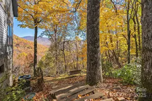 33 Great Aspen Way, Black Mountain, NC 28711 - Photo 41