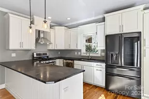 113 Craggy St, Black Mountain, NC 28711 - Photo 15