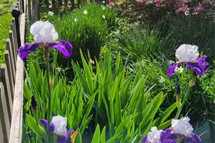 10 Hvn Crst Ln, Fletcher, NC 28732 - Photo 27