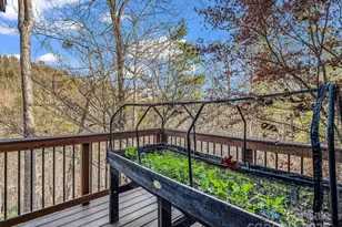 301 Peaks Dr, Lake Lure, NC 28746 - Photo 33