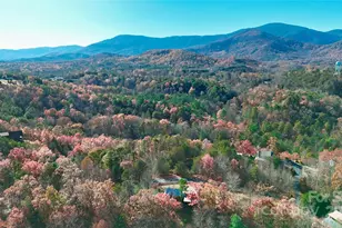 301 Peaks Dr, Lake Lure, NC 28746 - Photo 47