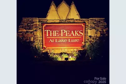 301 Peaks Drive, Lake Lure, NC 28746 - Photo 35