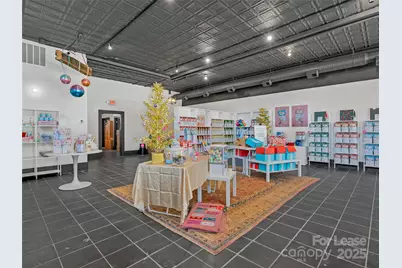 14 Lodge Street, Asheville, NC 28803 - Photo 9