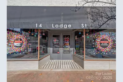 14 Lodge Street, Asheville, NC 28803 - Photo 3