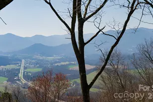 65 Thumper Trail, Waynesville, NC 28785 - Photo 3