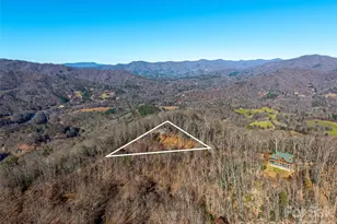 65 Thumper Trail, Waynesville, NC 28785 - Photo 43