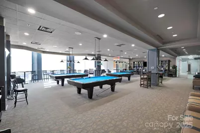 20310 Dovekie Lane, Indian Land, SC 29707 - Photo 37