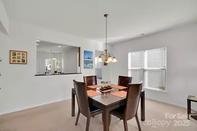 20310 Dovekie Lane, Indian Land, SC 29707 - Photo 19