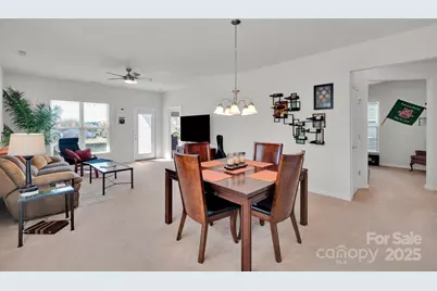 20310 Dovekie Lane, Indian Land, SC 29707 - Photo 9