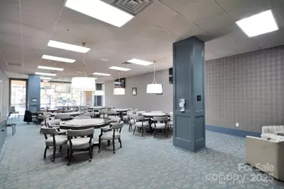 20310 Dovekie Lane, Indian Land, SC 29707 - Photo 39