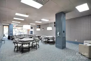 20310 Dovekie Ln, Indian Land, SC 29707 - Photo 39