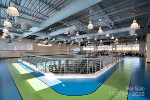 20310 Dovekie Ln, Indian Land, SC 29707 - Photo 35