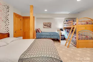 113 Mountain Cove Rd, Waynesville, NC 28786 - Photo 31