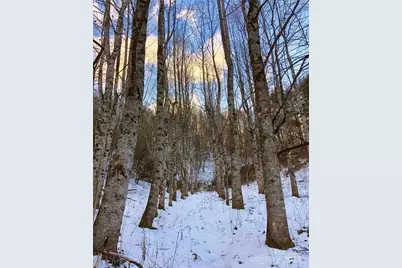 846 Joe Shoemaker Road, Vilas, NC 28692 - Photo 19