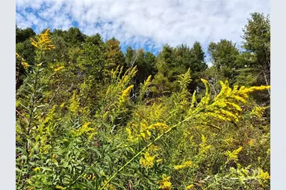 846 Joe Shoemaker Road, Vilas, NC 28692 - Photo 15